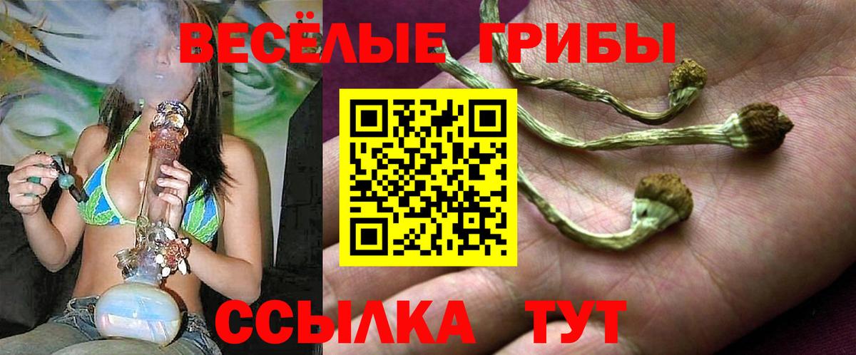 Псилоцибиновые грибы мухоморы Урюпинск