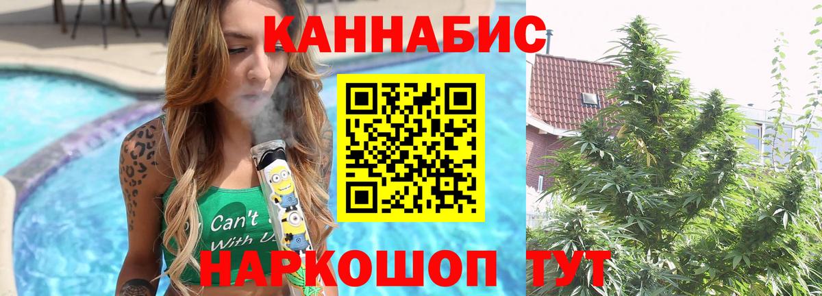 Бошки марихуана планчик  Вход с VPN  Урюпинск  Бошки марихуана семена  Бошки Шишки White Widow 